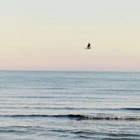 Relax Tra Campagna, Mare E Montagna * Scerni
