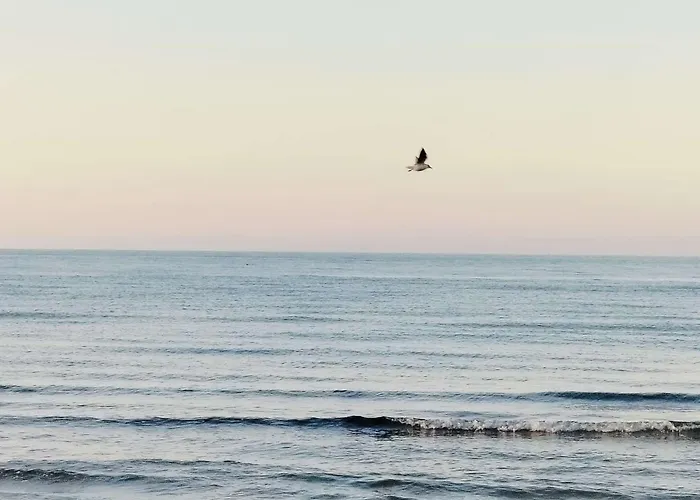 Relax Tra Campagna, Mare E Montagna * Scerni